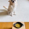 【犬の手作りごはん】犬🐶に危険、要注意⚠️な食材