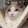 連休初日のふくちゃん