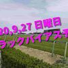 2020,9,27 日曜日 トラックバイアス予想 (中山競馬場、中京競馬場)