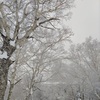 さようならお名残り惜しや雪の町（五七五）
