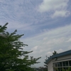 今日も青空!