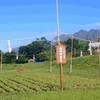 事件は突然に…