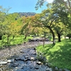 京都ぶらり　京都旅の拠点は円山公園から