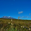 「トンガリロ　アルパイン　クロッシング（Tongariro Alpine Crossing)」　～まずは起点のマンガテポポ(Mangatepopo)側から