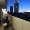 回復してきていると思うのだけど・・・