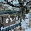 雪の法然院、南禅寺水路閣