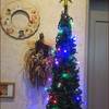 クリスマスツリーを飾る★エルロンド咲く