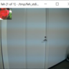 fswebcamでpng画像をオーバーレイさせる