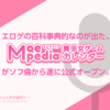 エロゲの百科事典的なのが出た。『Moepedia』がソフ倫から遂に公式オープン。