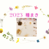 春 夏野菜の種まき 2023年  ②