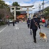 京都…、やっぱり良いわ～☺️(八坂神社～花見小路～二寧坂編)