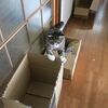 段ボールにも違いがある