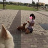 毎日の積み重ね