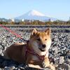 ６１０　富士山の日