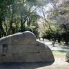 桜吹雪状態でした