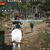 将軍標に祈りを捧げる【バリの森】【朝の国】【巫堂霊伝】【黒い砂漠】