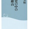 ⚔１６）─３─ポルトガルの対日交易とイエズス会の日本布教は「石見産銀」が目的であった。～No.63　