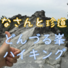 【はなさんと珍道中♬】どんづる峯ハイキング