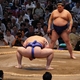 大相撲名古屋場所 観戦ツアー「幕ノ内取組」後半戦