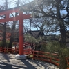 下鴨神社と賀茂川の鳶（とんび）