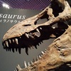ティラノサウルスの全身化石【スタン】が33億円で落札