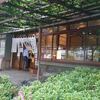 船橋屋（東京　亀戸）のくず餅はとてもオススメ！