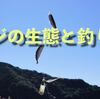 アジは生態を知れば釣れる