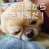 今週もコロナ対策万全に