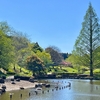 七井戸公園の池（千葉県佐倉）