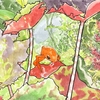 水彩画200枚記念「特に気に入っている水彩画を紹介」後編101枚目〜200枚目