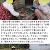 2022年11月14日 お菓子作り