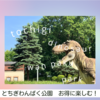 【2025年】とちぎわんぱく公園は盛りだくさんの施設！水遊び・電車・キックボード・恐竜（県民の日などお得情報）