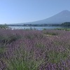 大石公園と富士山　夏