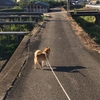 心に響いた言葉