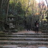 京都高雄エリアの紅葉　世界遺産の高山寺、そして神護寺