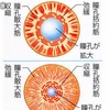 【目薬】目が疲れた時選ぶ場合