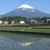 今朝の富士山（20250528）