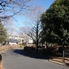 2024/01/14 市民会館公園