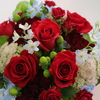 DAILY FLOWERS!!