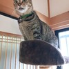 住友化学が4000人の人員削減