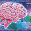 Neuropoly：神経学の学習を促進する教育用ボードゲーム