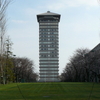 横浜薬科大学の桜並木