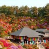 🚃🚃塩船観音寺[長編]🚴💨