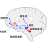 筋トレを続ける技術～脳をハックしよう！