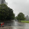5月20日（月）雨の傘WSS、プロンプトセット開発、砕け散るところを・・