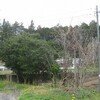 庭作業…枝切り