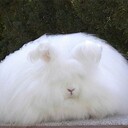 のんびりdiary