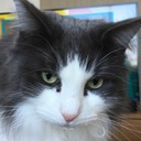 私がラジオジプシーだったころ