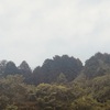 今朝の景色
