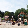子連れにおススメ！東松山ぼたん園の大型遊具で遊んでみた